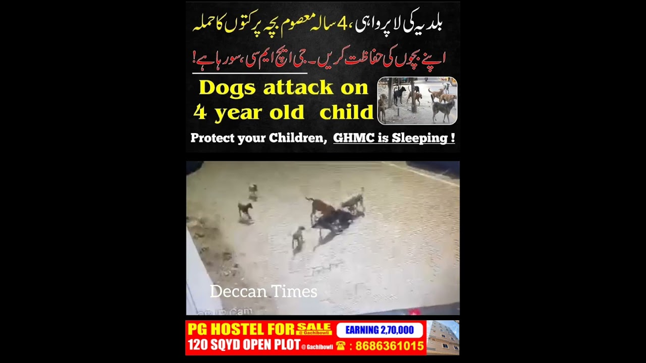 Dogs attack on 4 year old child, Protect your Children, GHMC is Sleeping !