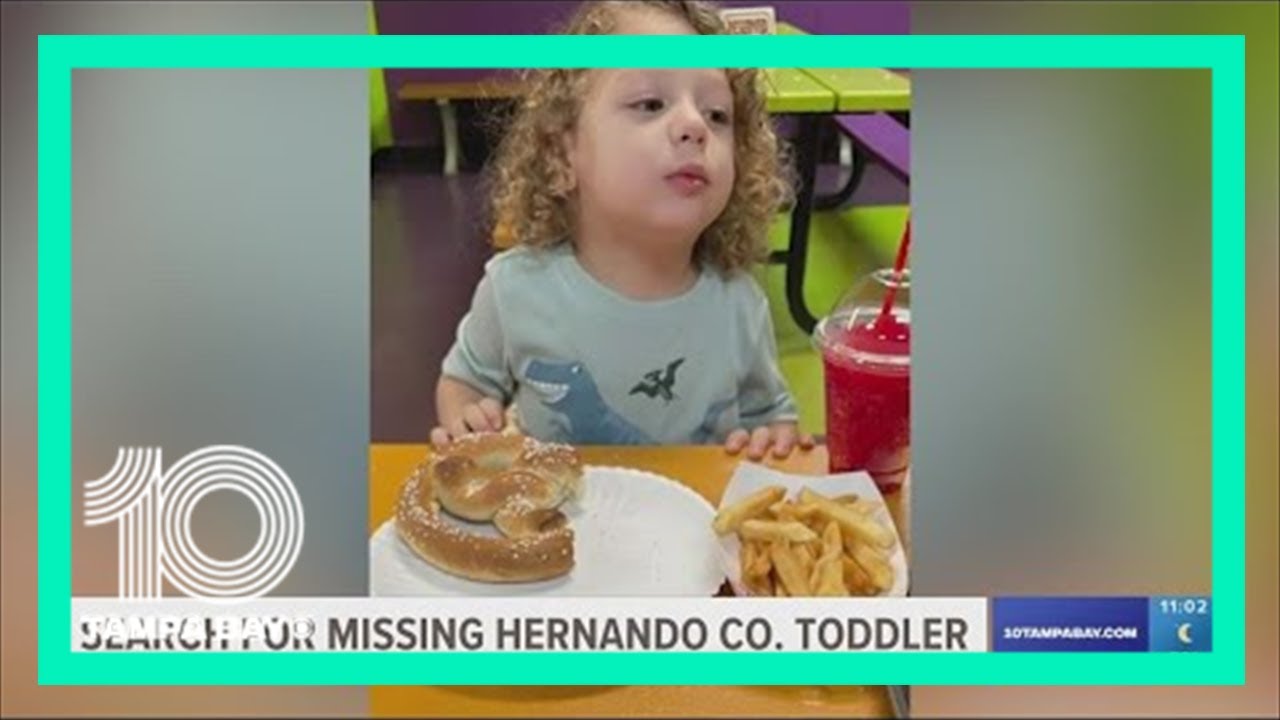 Florida Missing Child Alert issued for a 2-year-old boy missing in Brooksville