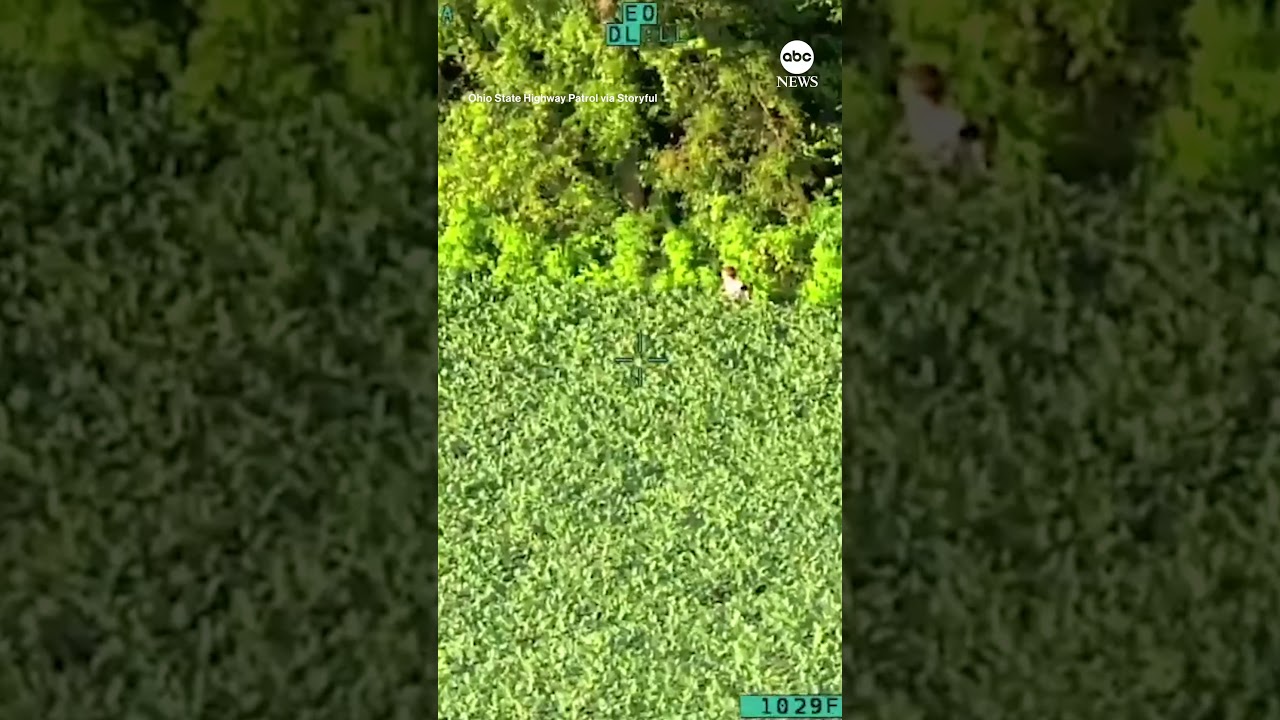 Aerial footage shows moment missing 4-year-old is found in field