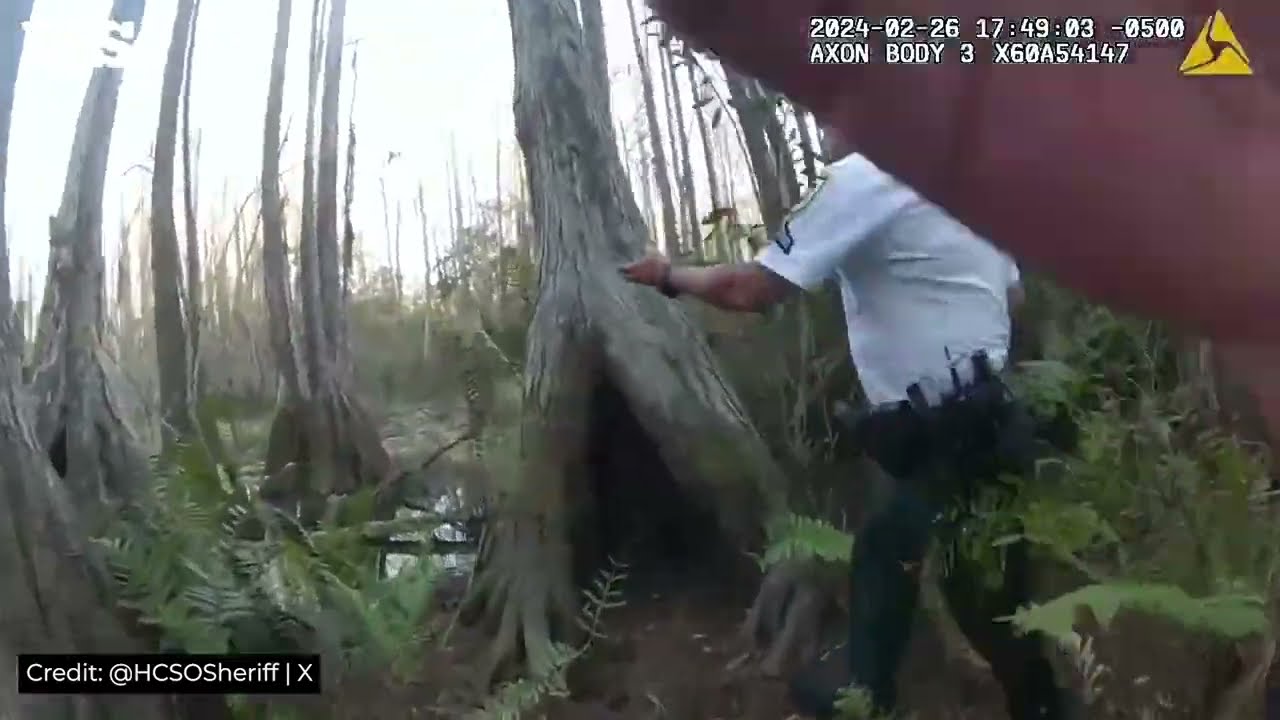 Missing Child with Autism Located After Wandering Into Woods