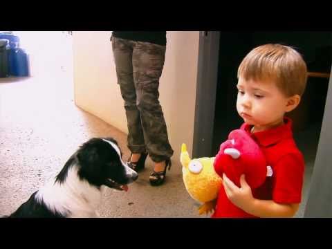 Zander’s Patient Story: Traumatic Brain Injury Treatment and Recovery