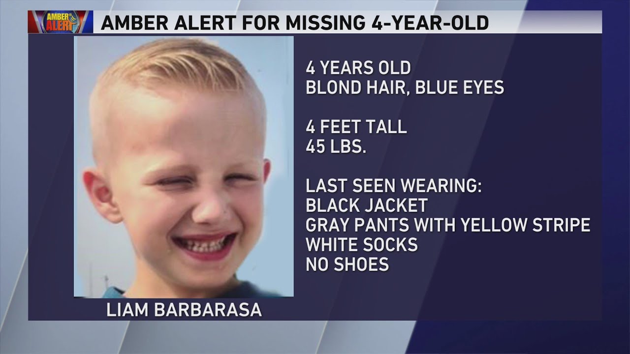 Amber Alert issued after vehicle stolen in Bridgeview with 4-year-old boy inside
