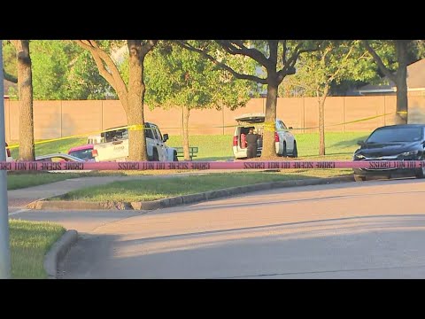 Missing 8-year-old boy found in lake by Texas EquuSearch, Fort Bend County Sheriff’s Office says