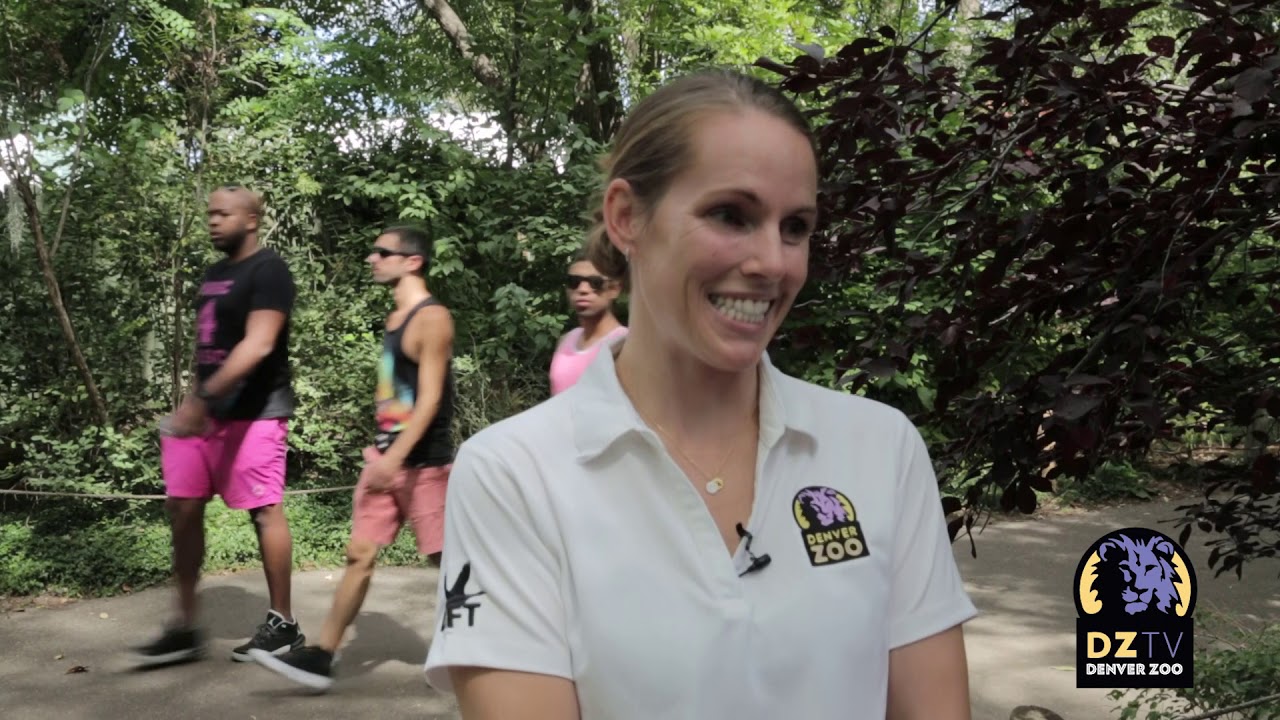 Denver Zoo is proud to announce the birth of an elusive, endangered aye-aye.