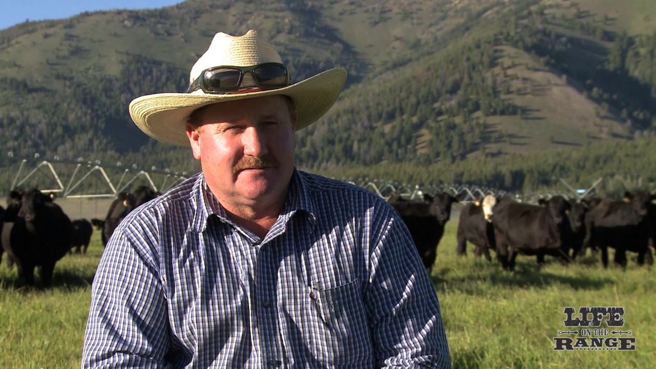 Finding water for endangered salmon and cattle in the Sawtooth Valley