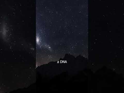 She LEGALLY STOLE a CHILD?! Disappearance of Bobby Dunbar #crime #missing #disappear #scarystories