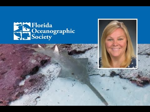 2021 Coastal Lecture Series: Florida’s Endangered Smalltooth Sawfish: Past, Present, and Future