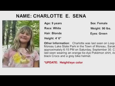 New York Amber Alert ‘seems like a snatch and grab,’ ex-FBI special agent says | NewsNation Prime