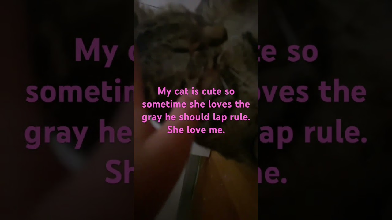 #cat #june1 #alert #amberalert #funny #childabduction #urgentalert #childsafety #cute #greenscreen