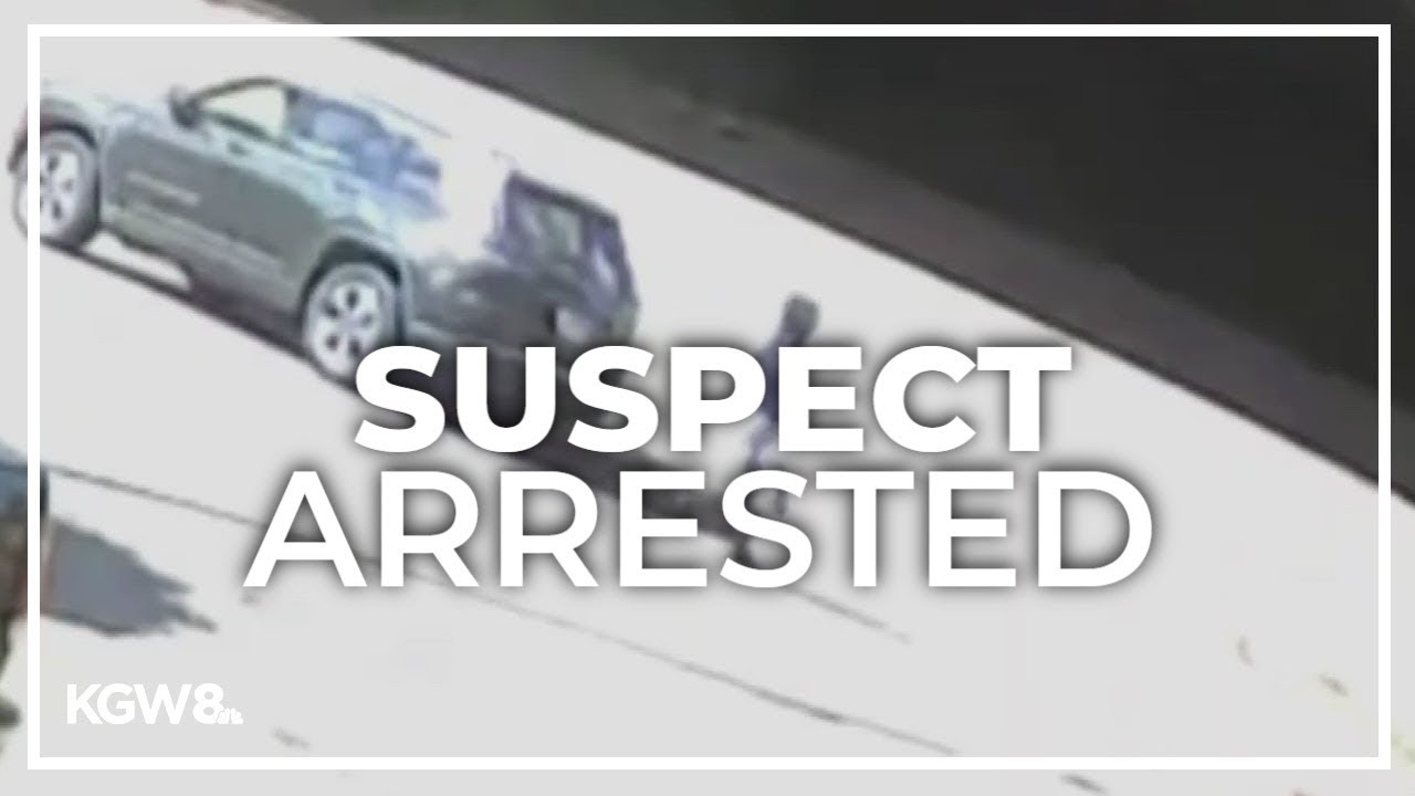 Police arrest suspect in attempted child abduction at Vancouver park