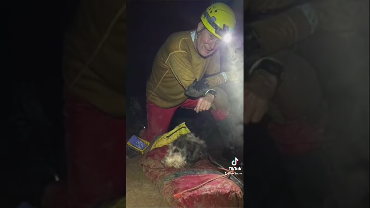 Dog missing for two months found in a Missouri cave. #cave #missingdog #missouri #short
