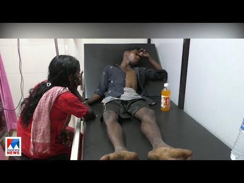 വഴിതെറ്റി കാട്ടില് കുടുങ്ങി; യുവാവിനെ കണ്ടെത്തി | Palakkad | Missing youth