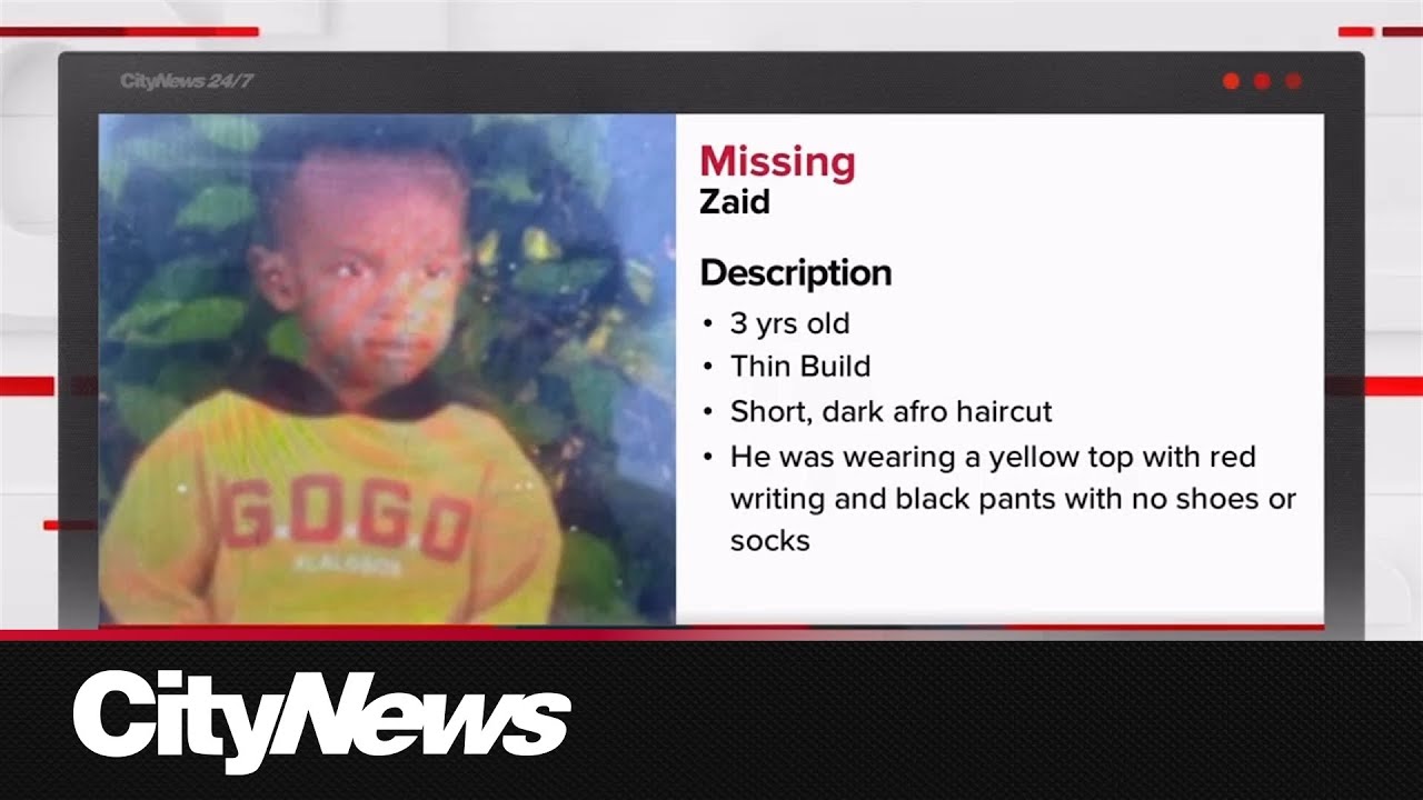 Missing 3-year-old boy in Mississauga prompts community to offer help