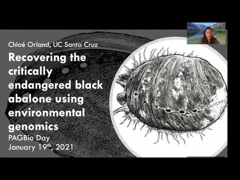 Recovering the Critically Endangered Black Abalone Using Environmental Genomics