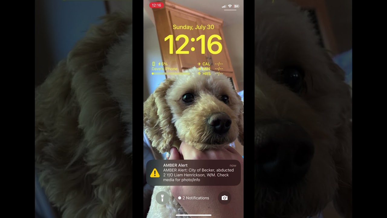 WEA Minnesota Statewide Amber alert Edit child is found safe