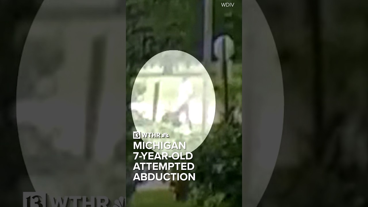Attempted abduction of 7-year-old at Michigan park caught on camera