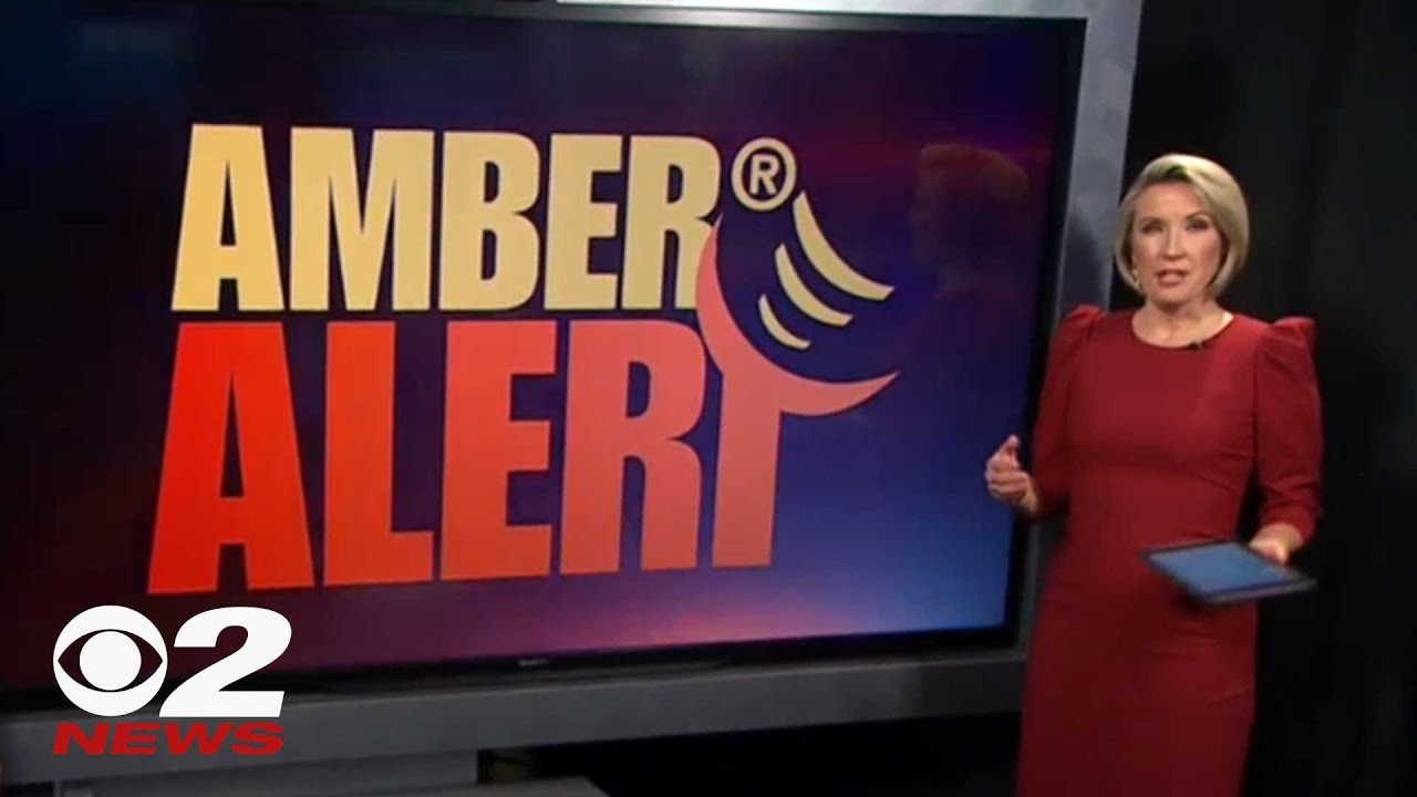 Law introduced for new criteria on issuing AMBER Alert, including parental custody battles