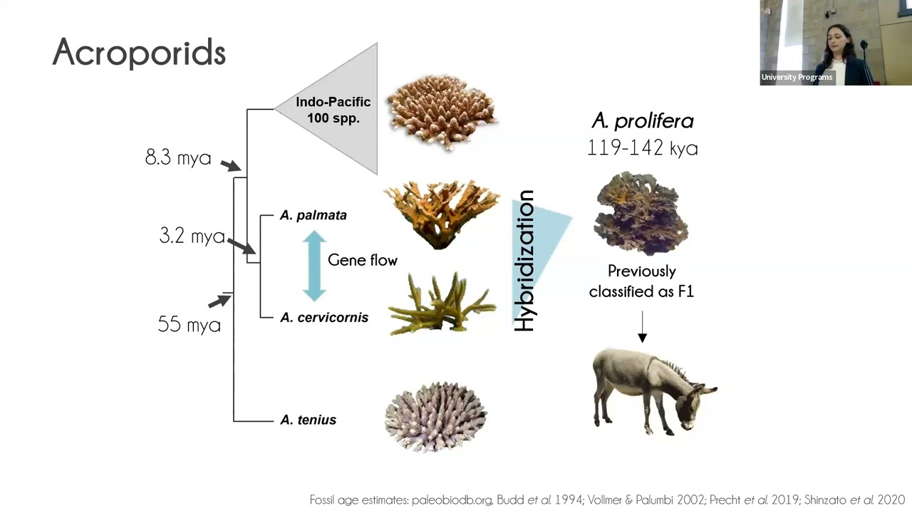 Sources of novel genetic variation in endangered corals and their symbionts