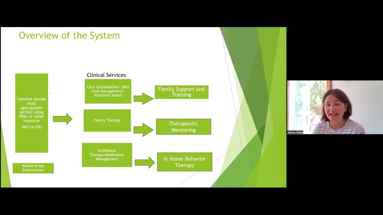Accessing Children’s Behavioral Health Services in Massachusetts: Overview of the System