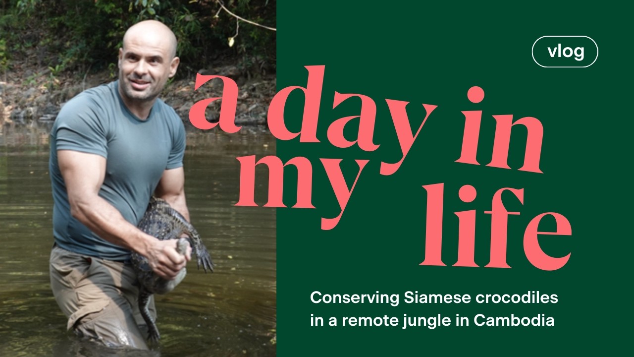 Releasing Siamese crocodiles in a remote jungle vlog