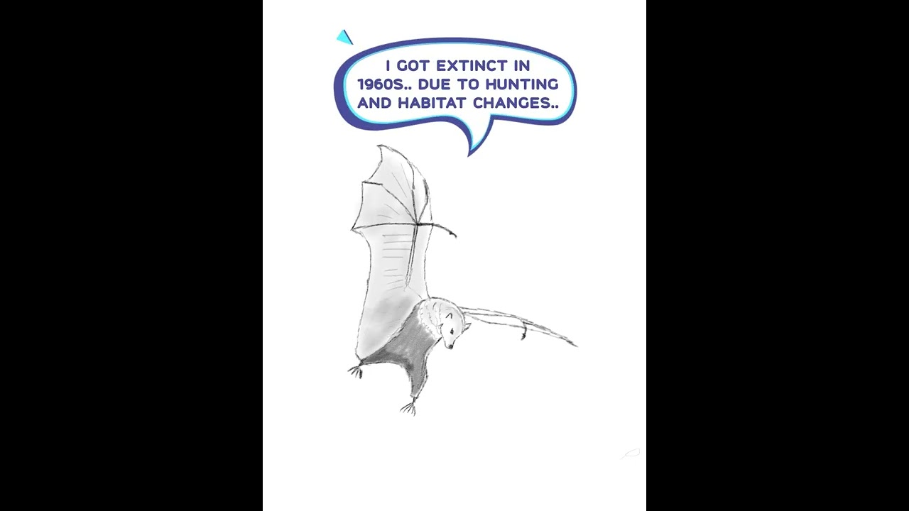 Extinct Animals Series | Gaum Flying Fox | Please save the endangered species