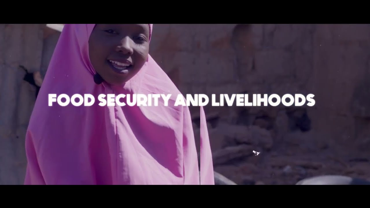 SAVE THE CHILDREN’S EU SUPPORT TO EARLY RECOVERY FROM CONFLICT AND RESILIENCE BUILDING IN YOBE