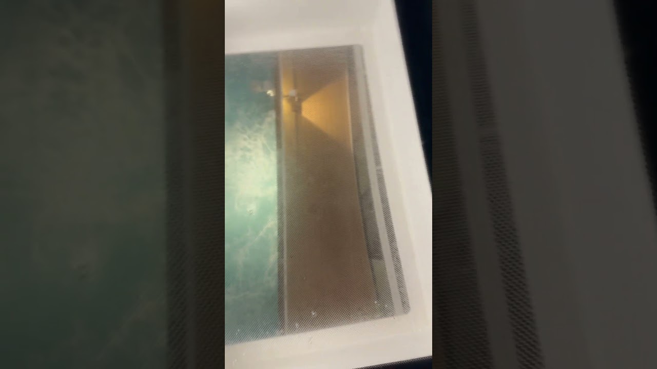 OMG! When You Realize the Floor is Missing! 😳 #youtube #shorts #reels #cruise #funny #video