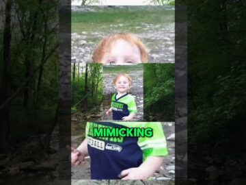 Part 2 Ryker Webb Missing Child Found Under Bizarre Circumstances #missingperson #missingchildcase