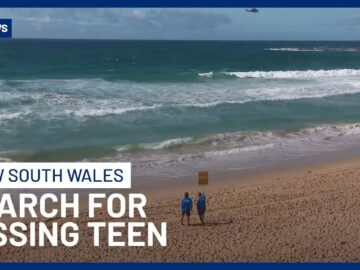 Search Continues For Teenager Swept Out To Sea On NSW Schoolies Trip | 10 News