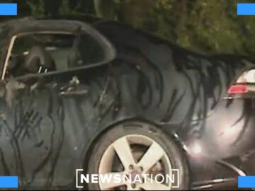 Bodies of missing man, 3 kids found in Indianapolis pond | Rush Hour