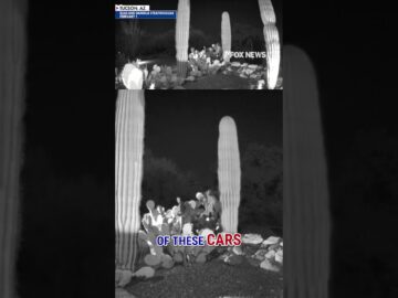 Camera captures cars driving near Guthrie crime scene on night of disappearance #shorts