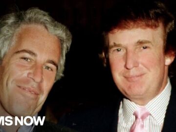 ‘Just doesn’t hold up’: DOJ reportedly withheld missing Epstein Files related to Donald Trump