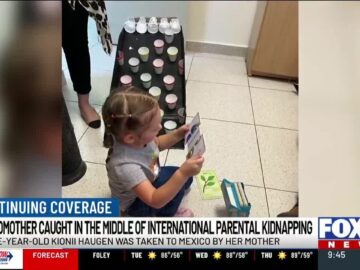 Grandmother caught in middle of alleged international parental kidnapping case