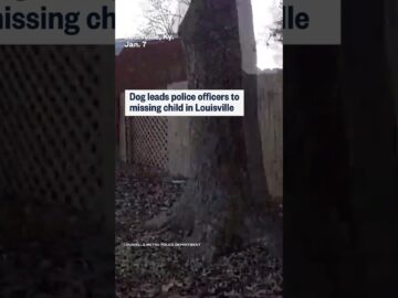 Dog leads police officers to missing child in Louisville