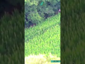 Helicopter crew finds missing 4-year-old boy, directs searchers to him