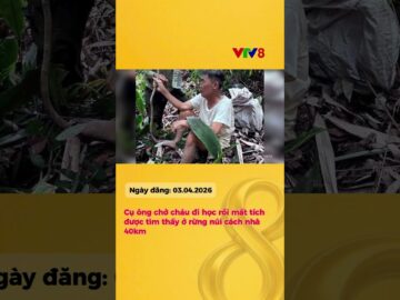 Mất tích 3 ngày trong rừng núi, cụ ông 73 tuổi được tìm thấy cách nhà 40km