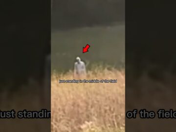 Something attacked her animals.. credit: @deesdarkadventures #skinwalker