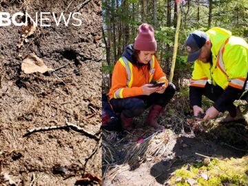 The moment a bootprint was found in missing children’s search