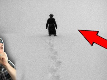 Top 3 SCARIEST stalkers in the wild | Missing 411 (Part 17)