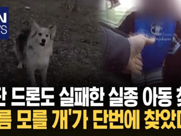 경찰 앞 자꾸만 짖는 강아지 따라갔더니 ‘실종 아동’이? 깜짝 / KNN