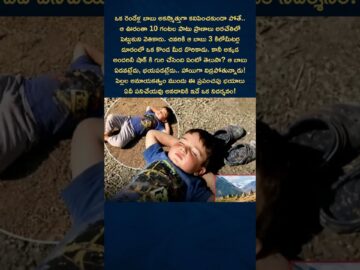 Missing 2-Year-Old Found Sleeping on Hill 😳 Emotional Real Story | Miracle Child Story ❤️