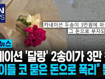 “애들 상대로 양심까지 팔았다” 카네이션 두 송이 ‘3만 원’ 괘씸 / KNN