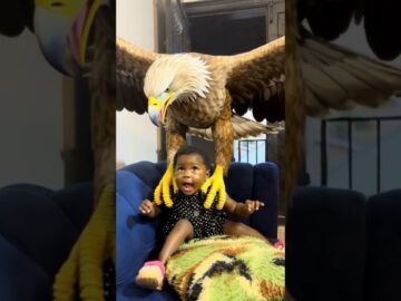 My missing child😱😱 #bestcomedyskit #comedy #funny #funnyimages #nollywood