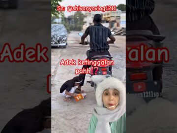 papa, adek ketinggalan⁉️ shivanyavlog1211