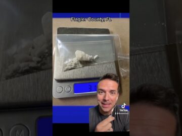 Dumbest Drug Dealer Ever? Florida man accused of mistakenly setting up drug deal with commissioner