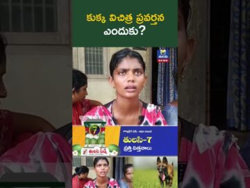 కుక్క విచిత్ర ప్రవర్తన ఎందుకు? Tuni Child Missing Case Latest Updates Tulasi News