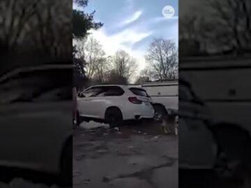 Smart dog led Louisville police to missing child. See the video.