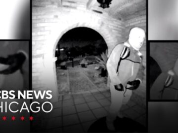 Person of interest in custody in kidnapping of Nancy Guthrie