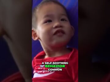 The Mystery of the Missing Child: Where is Huxley? #shorts