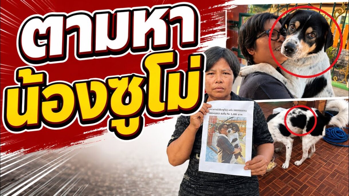 บุรีรัมย์ ลูกชิ้นยืนกินพร้อมรับไทยช่วยไทยพลัสเชื่อฟื้นวิกฤติราคาน้ำมัน